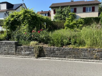 Familienfreundliches 5.5-Zimmer Einfamilienhaus an ruhiger Lage in Wallisellen, 8304 Wallisellen, Wohnung